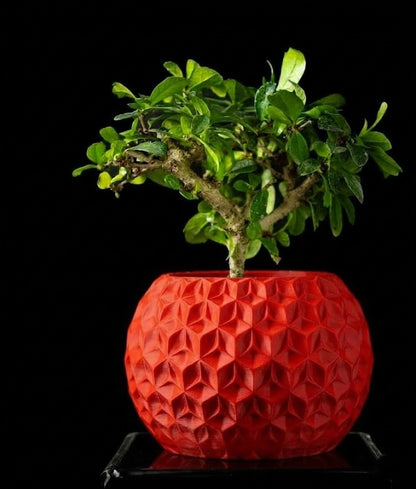 Trihex Pflanztopf – Geometrische Tiefe in 3D-Perfektion