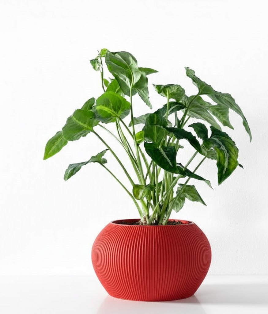 Melfi Pflanztopf – Zeitlose Eleganz in Linienform