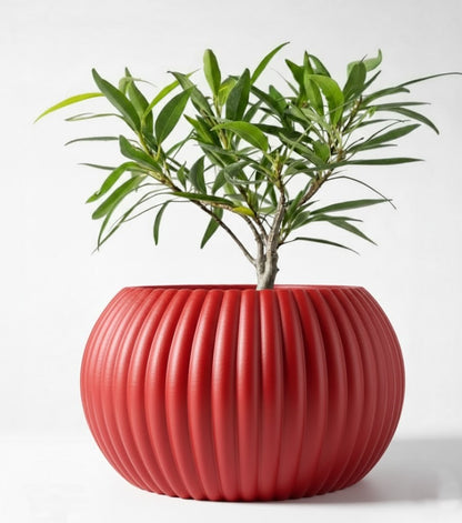 Der Roni – 3D-Pflanztopf mit harmonischer Rillenstruktur