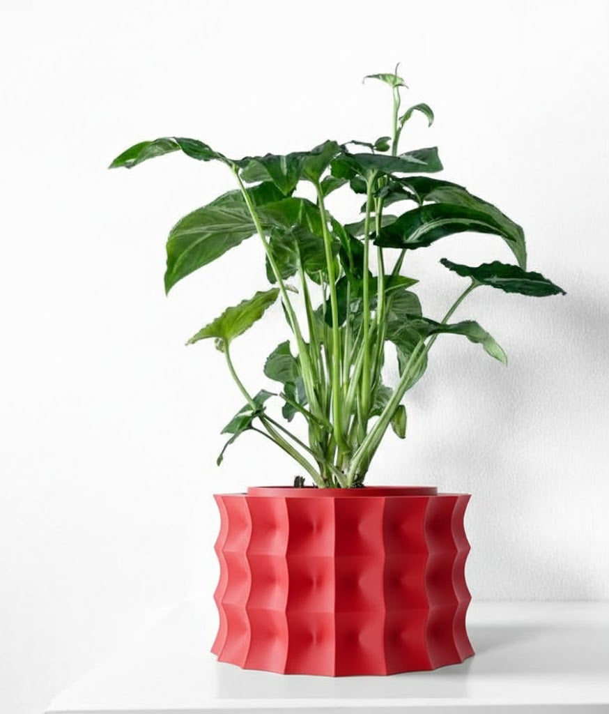 Kivern Pflanztopf – Design in Wellenform
