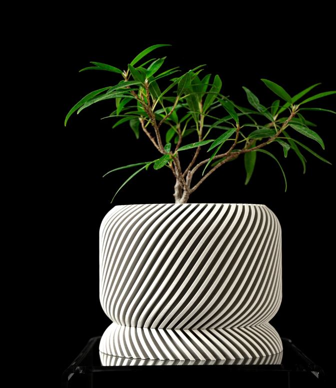 Schräger Pflanztopf – 3D-Design trifft auf Perspektivwechsel