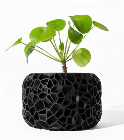 Der Vori – Organischer 3D-Pflanztopf im Voronoi-Look