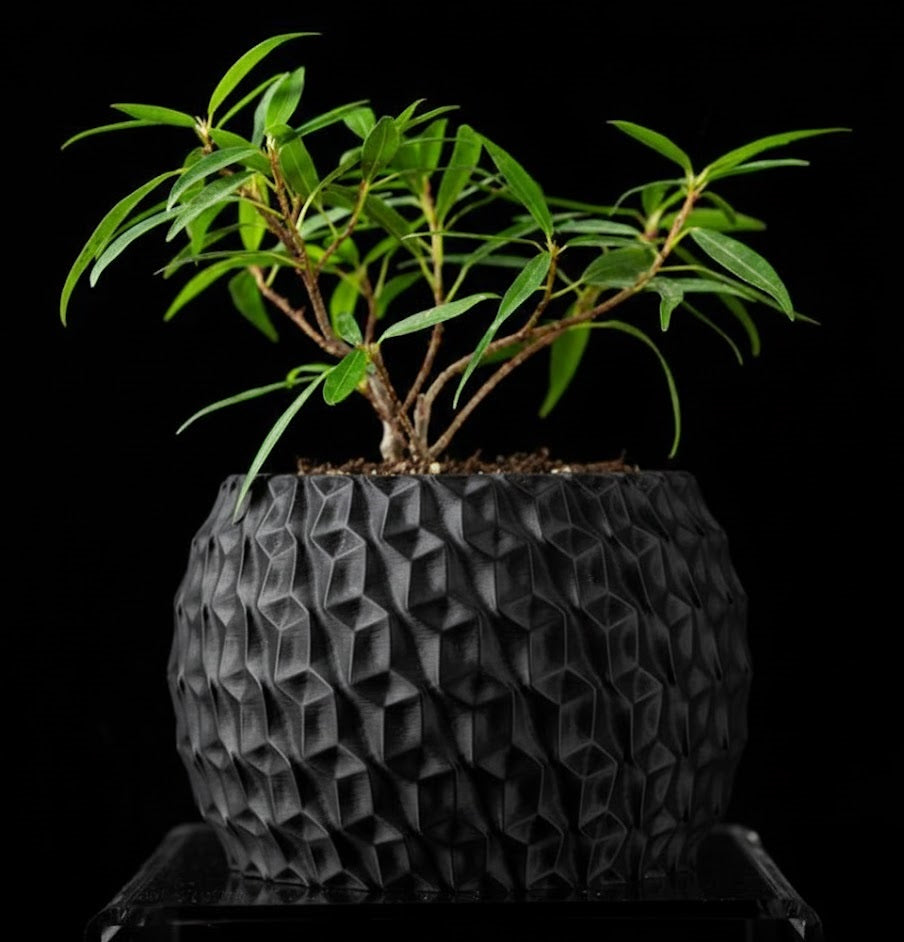 Hexa Planter Pot – 3D-Pflanztopf mit Facettenschliff