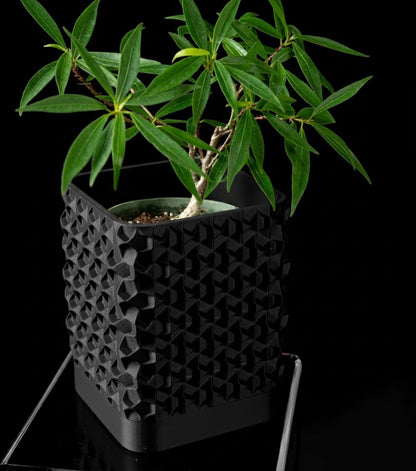 Rovi Square Planter Pot – Geometrie trifft Natur