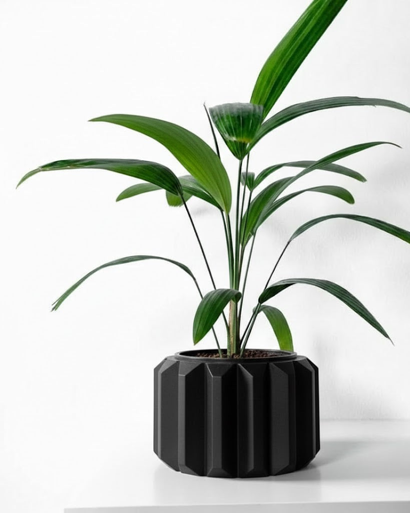 Ferix Pflanztopf – Klare Konturen, markantes Design