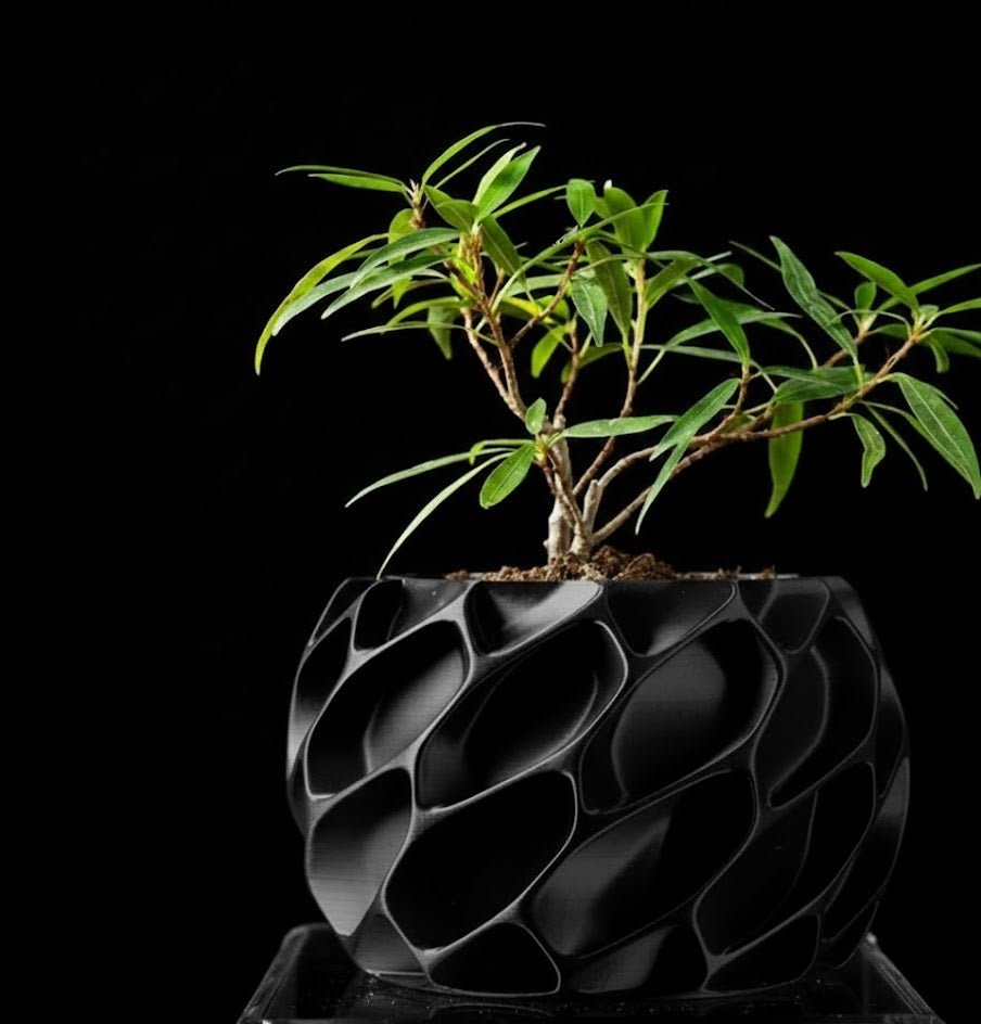 Exo Planter – Der organisch-dynamische 3D-Pflanztopf