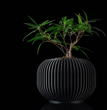 Yuso 3D Pflanztopf – Minimalismus trifft auf organische Eleganz