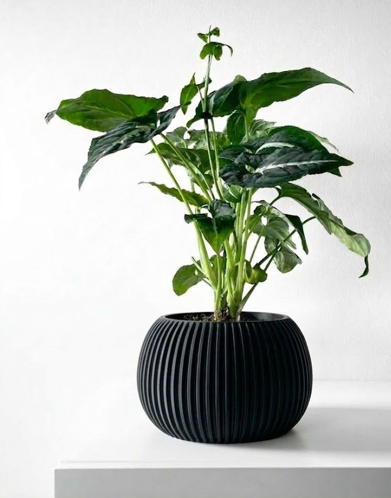 Surno Pflanztopf – Klassik neu definiert