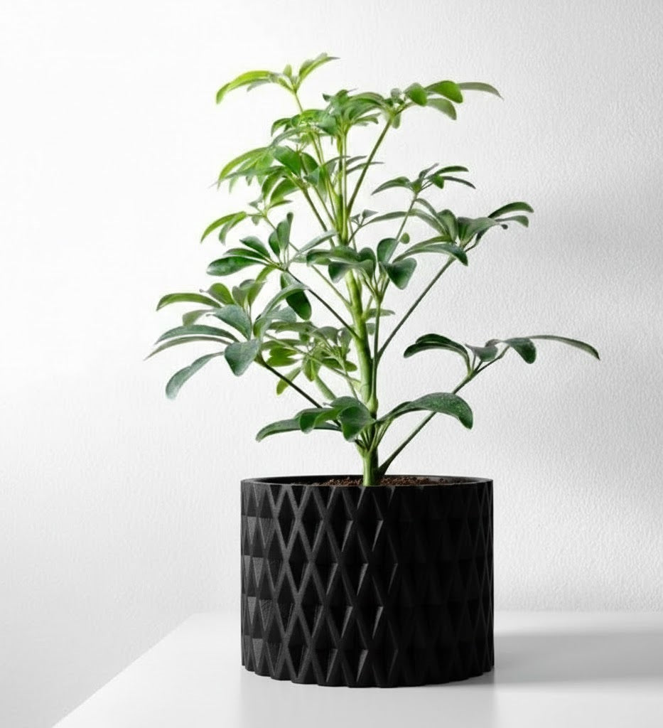 Grivan Pflanztopf – Geometrie trifft Eleganz