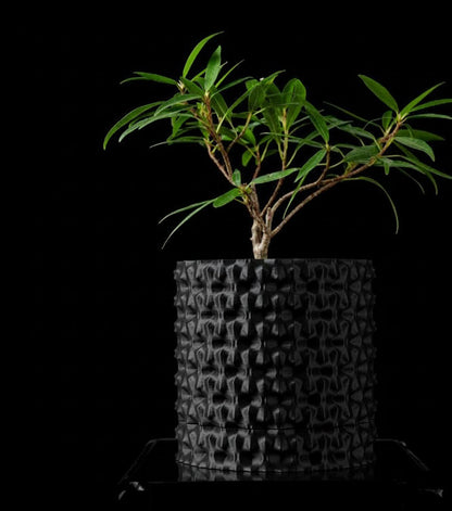 Robuster – Der markante 3D-Pflanztopf für starke Akzente