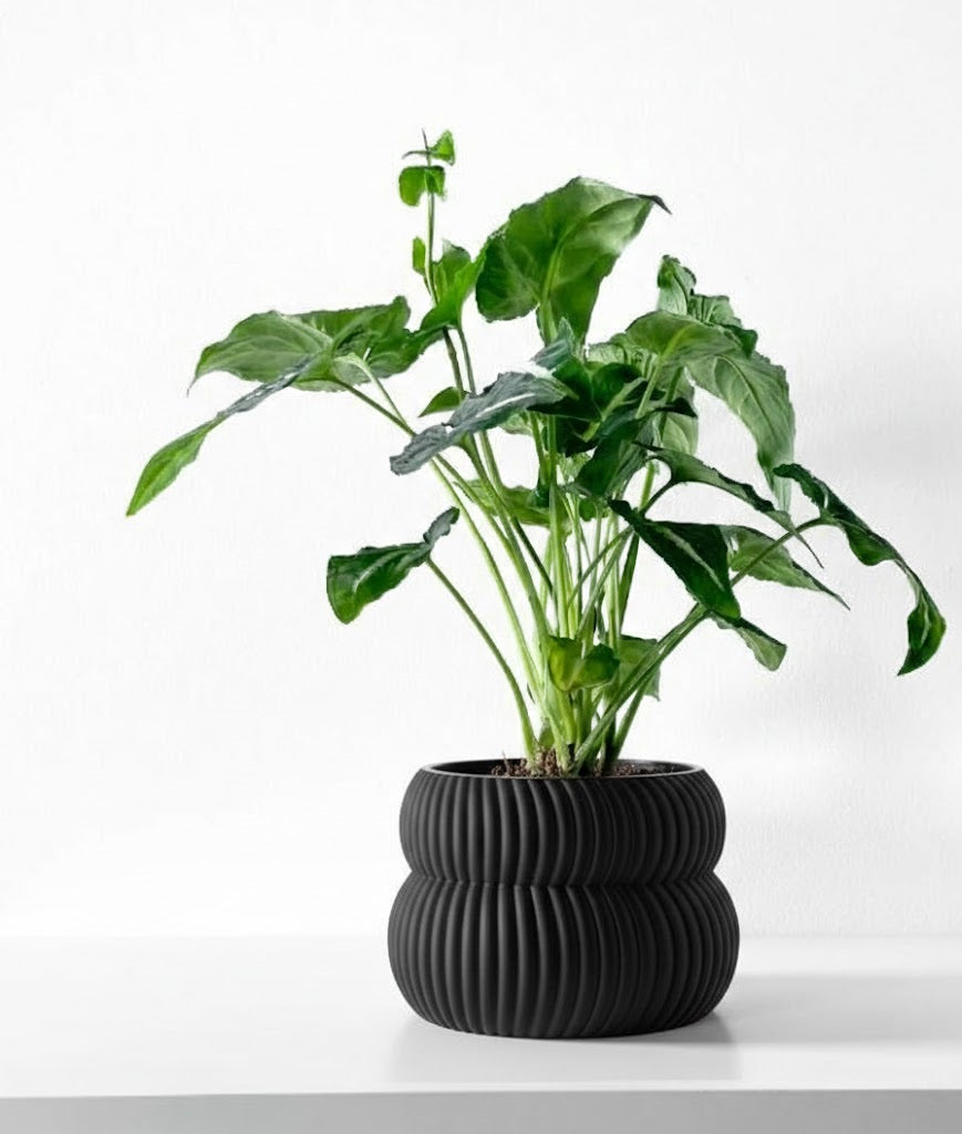 Quarn Pflanztopf – Weiche Konturen, starke Präsenz