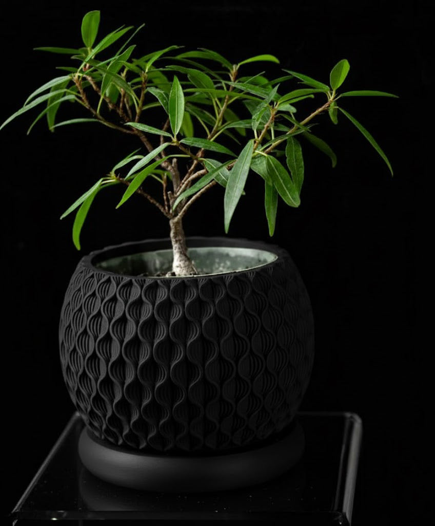 Bloom Planter – Der blüteninspirierte 3D-Pflanztopf mit organischer Struktur