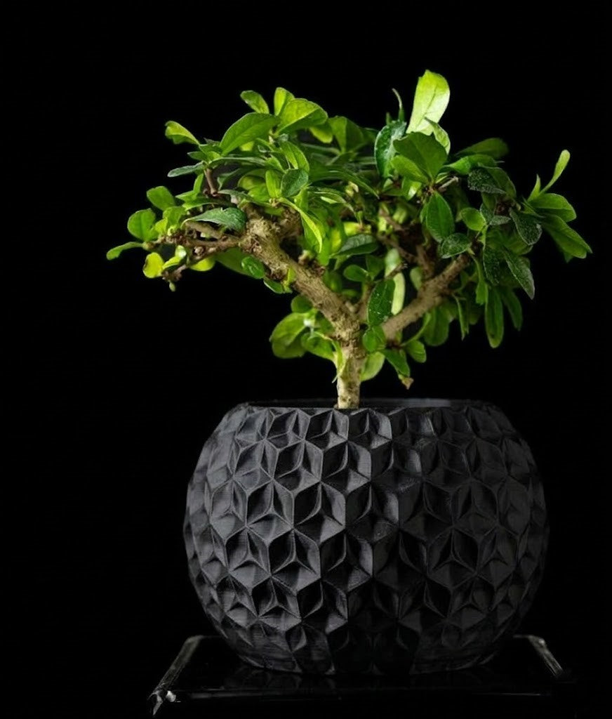 Trihex Pflanztopf – Geometrische Tiefe in 3D-Perfektion