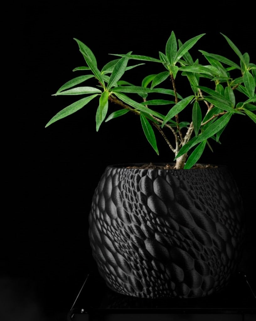 Gato Pflanztopf – Organisches 3D-Design für moderne Wohnräume