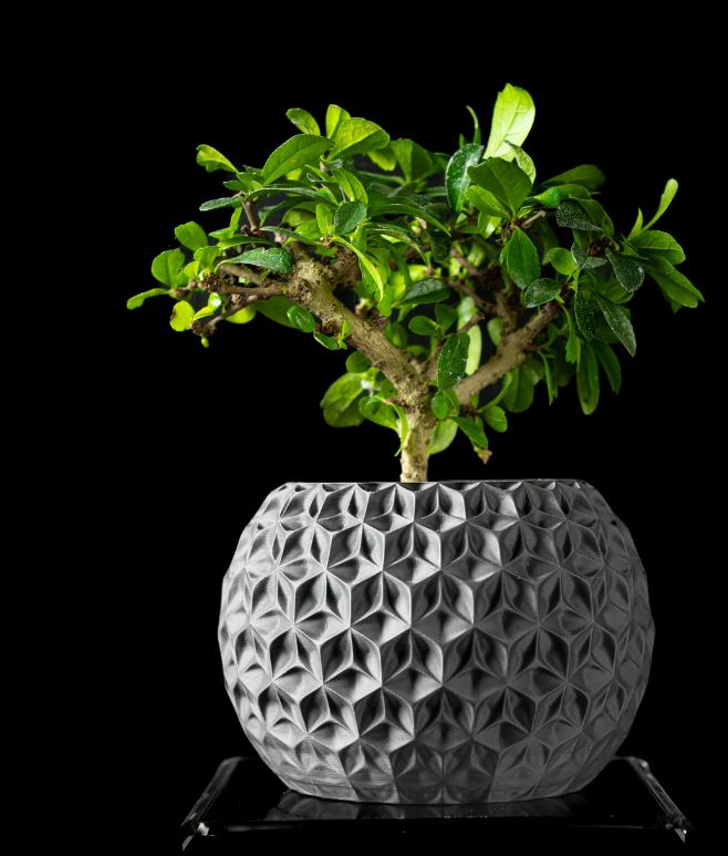Trihex Pflanztopf – Geometrische Tiefe in 3D-Perfektion