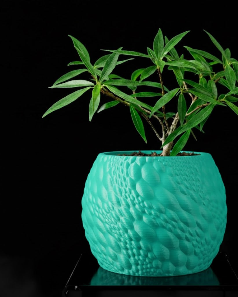 Gato Pflanztopf – Organisches 3D-Design für moderne Wohnräume