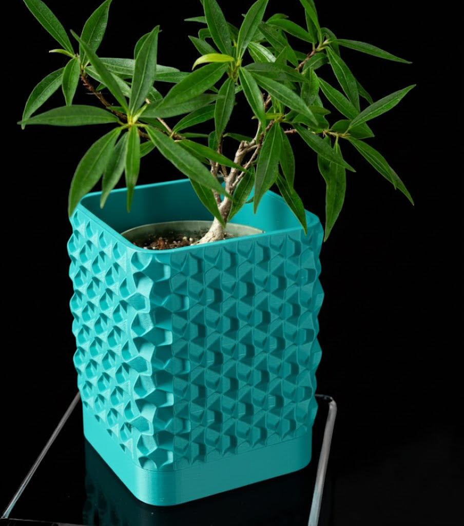 Rovi Square Planter Pot – Geometrie trifft Natur