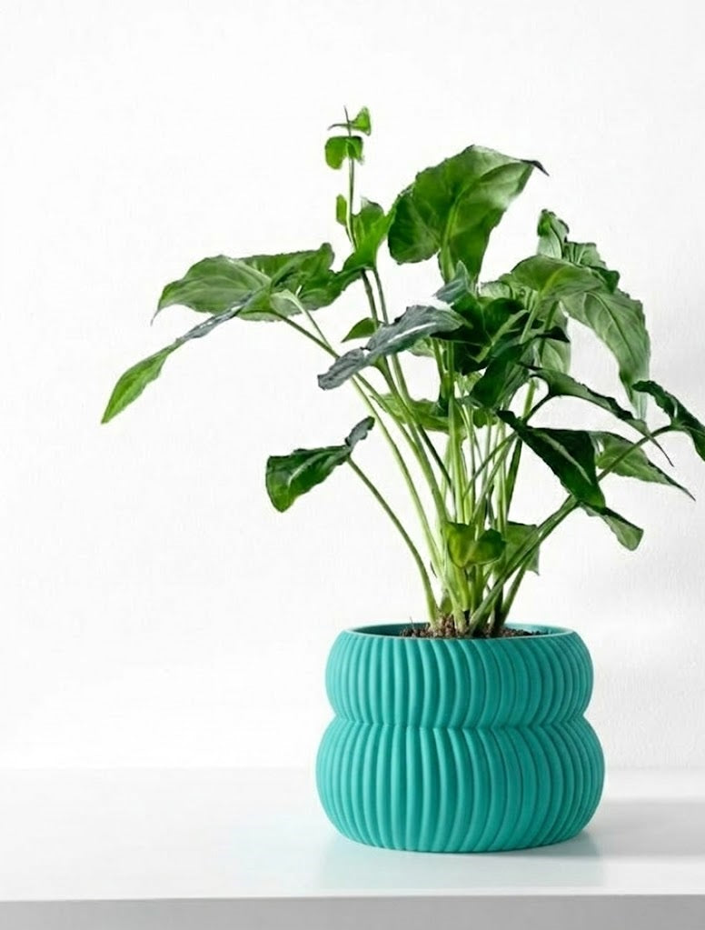 Quarn Pflanztopf – Weiche Konturen, starke Präsenz