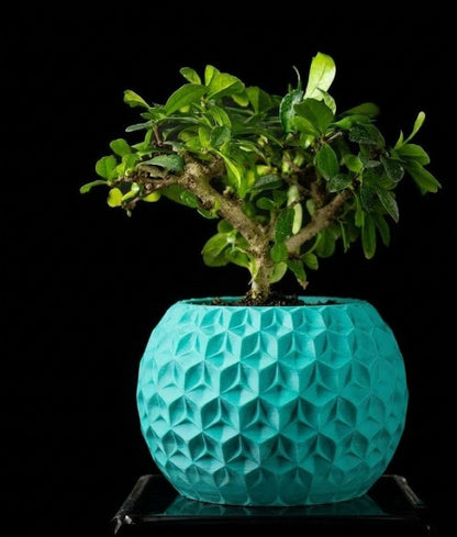 Trihex Pflanztopf – Geometrische Tiefe in 3D-Perfektion