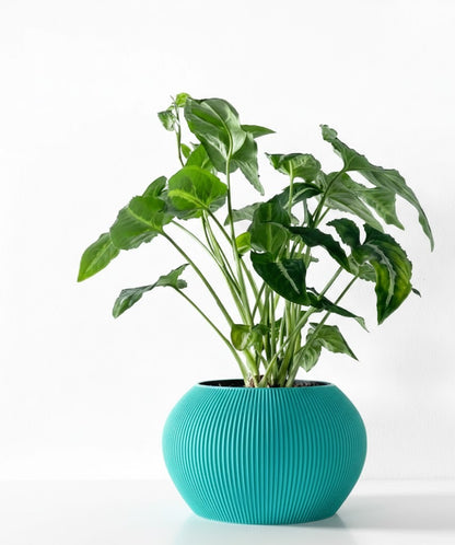 Melfi Pflanztopf – Zeitlose Eleganz in Linienform