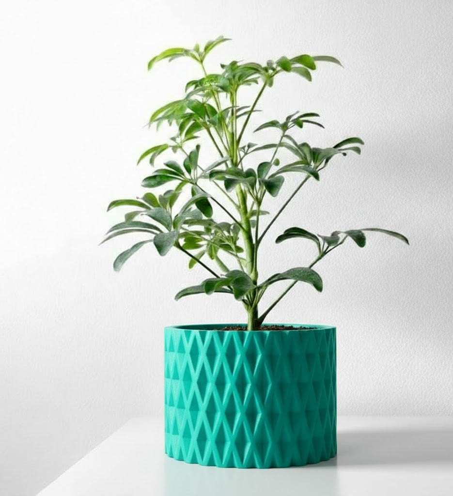 Grivan Pflanztopf – Geometrie trifft Eleganz