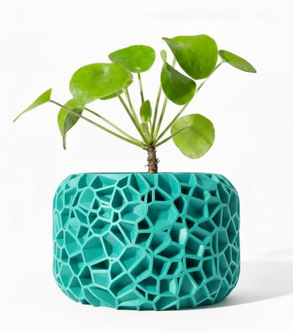 Der Vori – Organischer 3D-Pflanztopf im Voronoi-Look