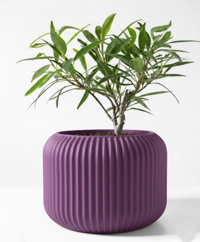 Der Unis – Zeitloser 3D-Pflanztopf mit rhythmischer Kontur