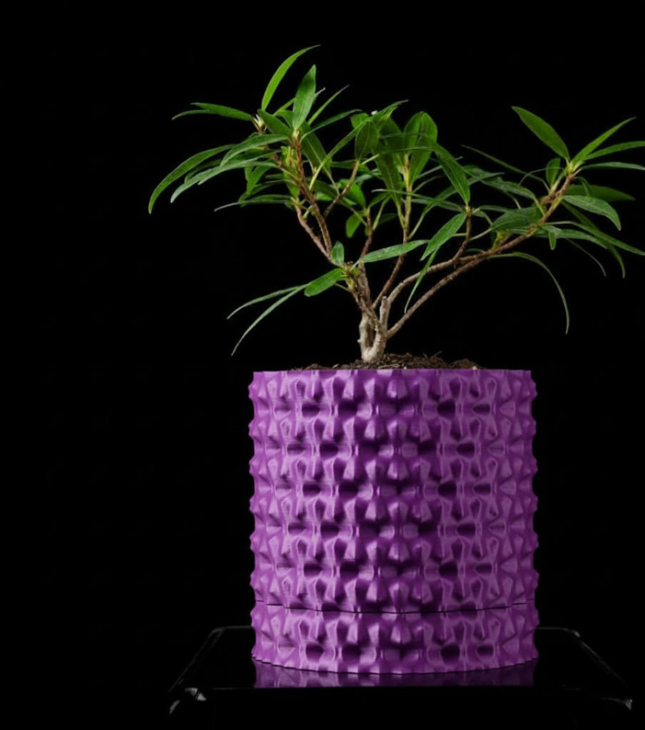 Robuster – Der markante 3D-Pflanztopf für starke Akzente