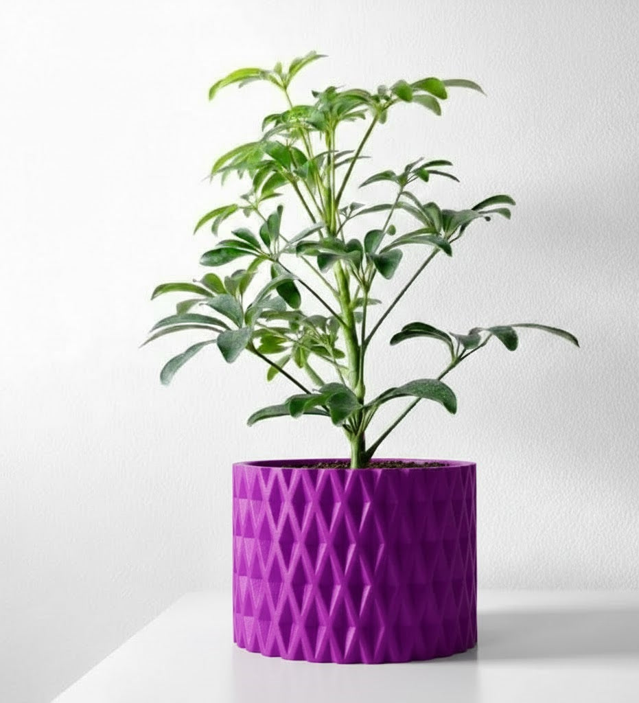 Grivan Pflanztopf – Geometrie trifft Eleganz