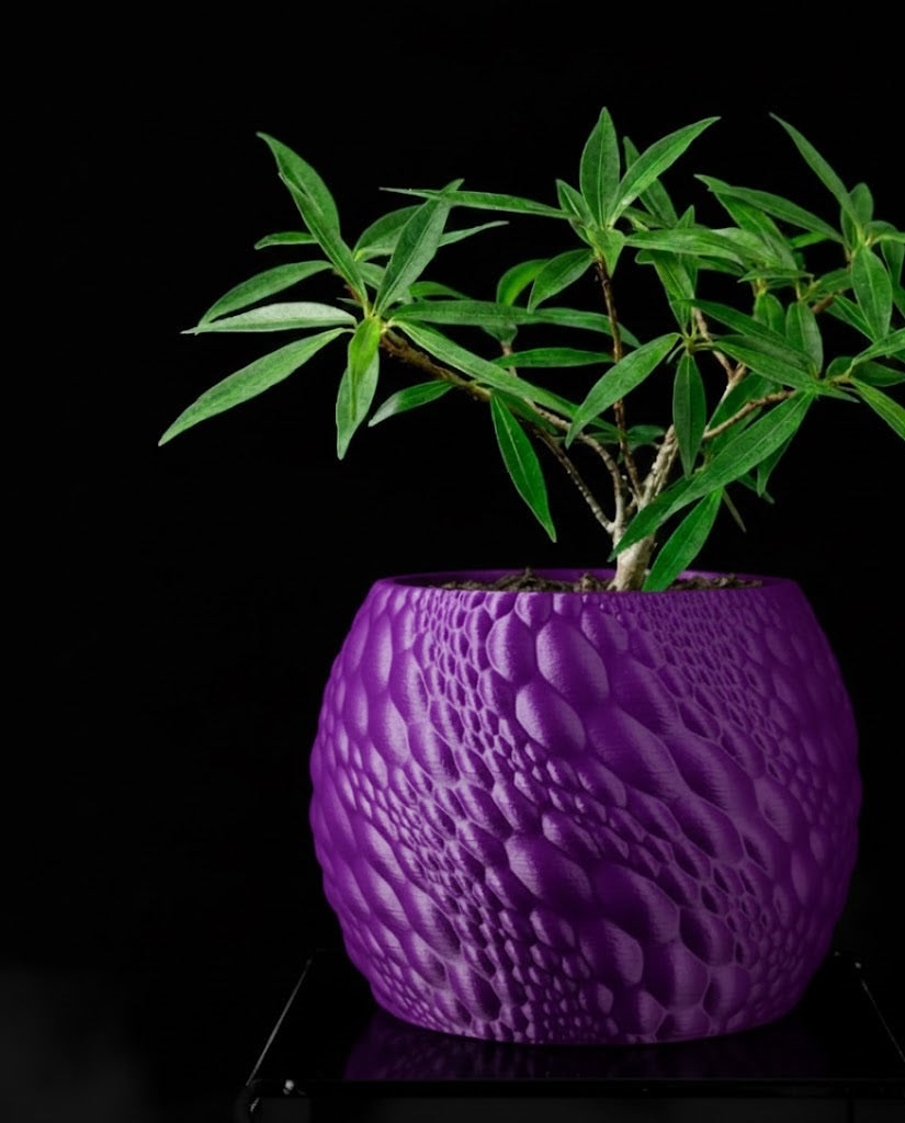 Gato Pflanztopf – Organisches 3D-Design für moderne Wohnräume