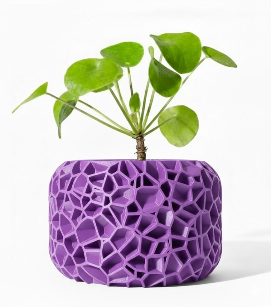 Der Vori – Organischer 3D-Pflanztopf im Voronoi-Look