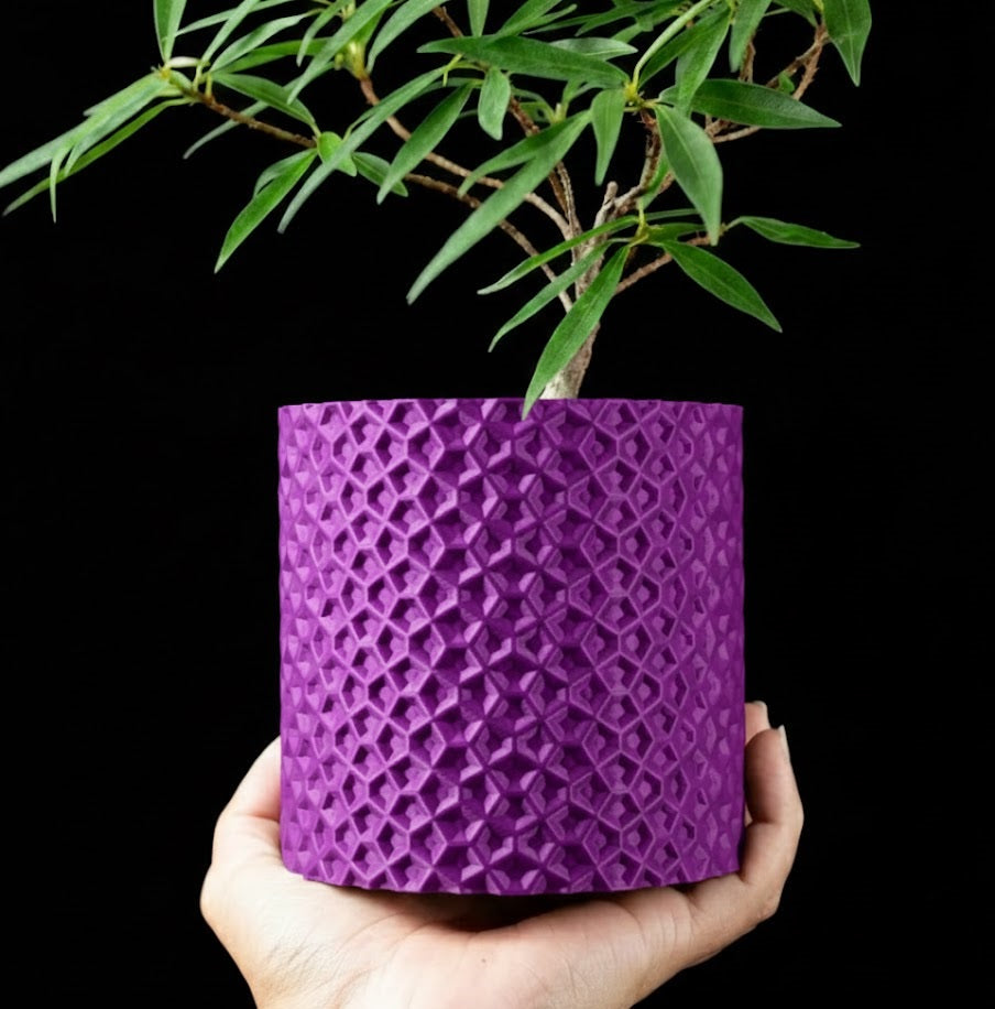 Ordan Planter Pot 3D– Geometrie trifft Natur
