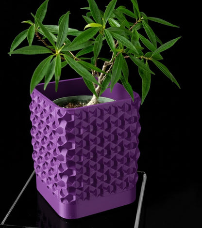 Rovi Square Planter Pot – Geometrie trifft Natur