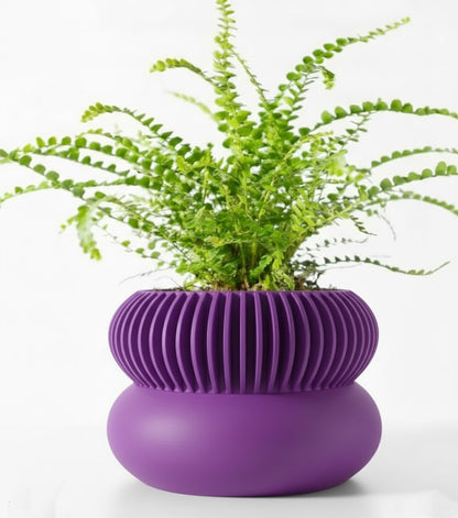 Der Elomi – 3D-Pflanztopf mit dynamischer Zweiteilung und skulpturaler Eleganz