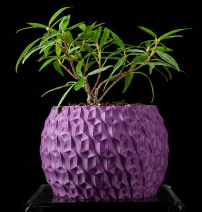 Hexa Planter Pot – 3D-Pflanztopf mit Facettenschliff