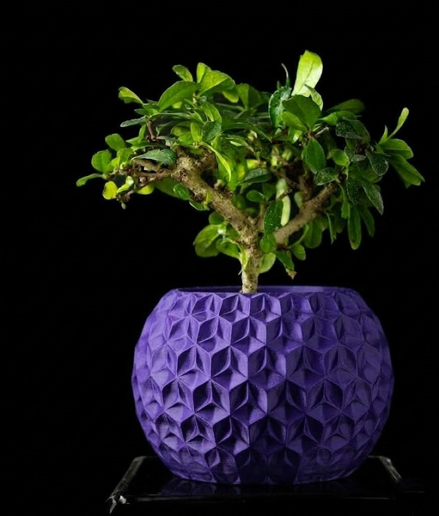 Trihex Pflanztopf – Geometrische Tiefe in 3D-Perfektion