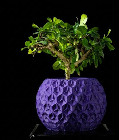 Trihex Pflanztopf – Geometrische Tiefe in 3D-Perfektion