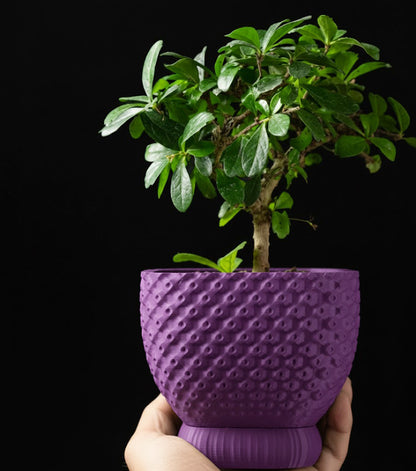 Connect Planter Pot – Strukturierte Eleganz im 3D-Design