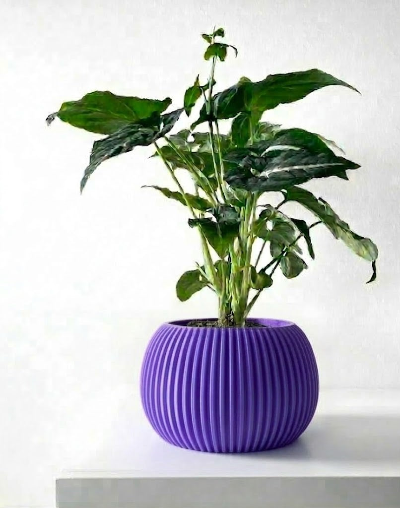 Surno Pflanztopf – Klassik neu definiert