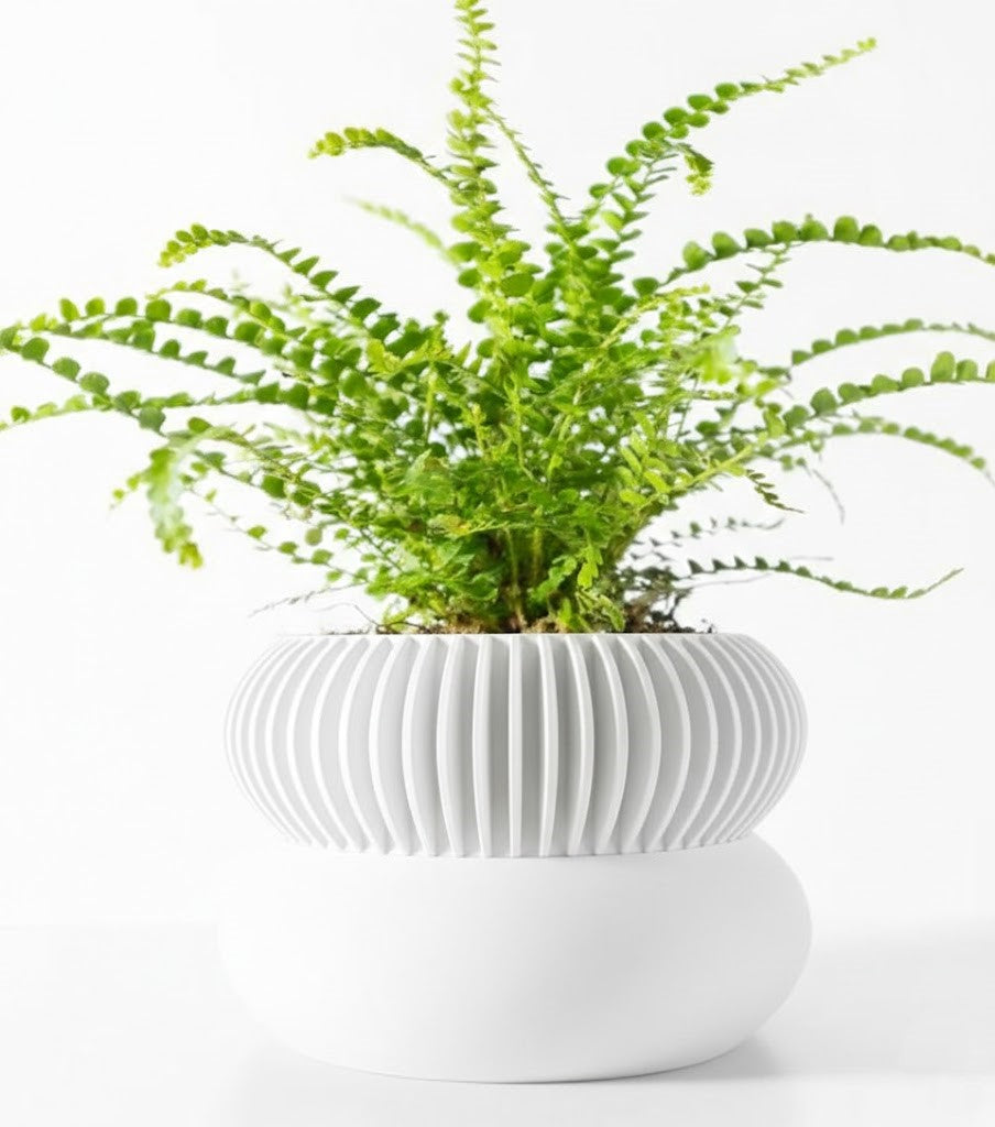 Der Elomi – 3D-Pflanztopf mit dynamischer Zweiteilung und skulpturaler Eleganz