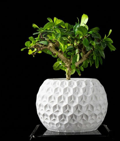 Trihex Pflanztopf – Geometrische Tiefe in 3D-Perfektion