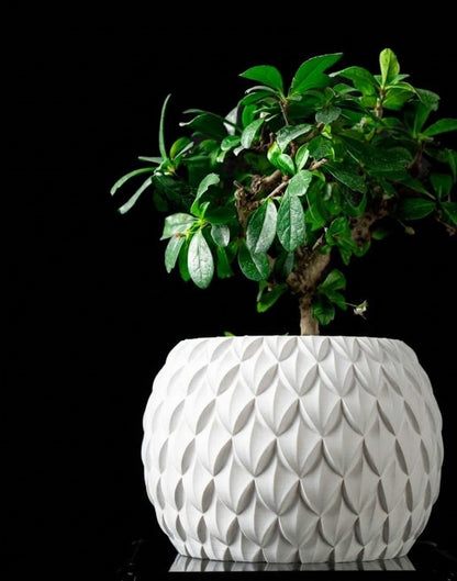 Scale – Der 3D Pflanztopf mit Schuppenstruktur und skulpturaler Eleganz