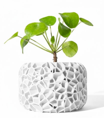 Der Vori – Organischer 3D-Pflanztopf im Voronoi-Look