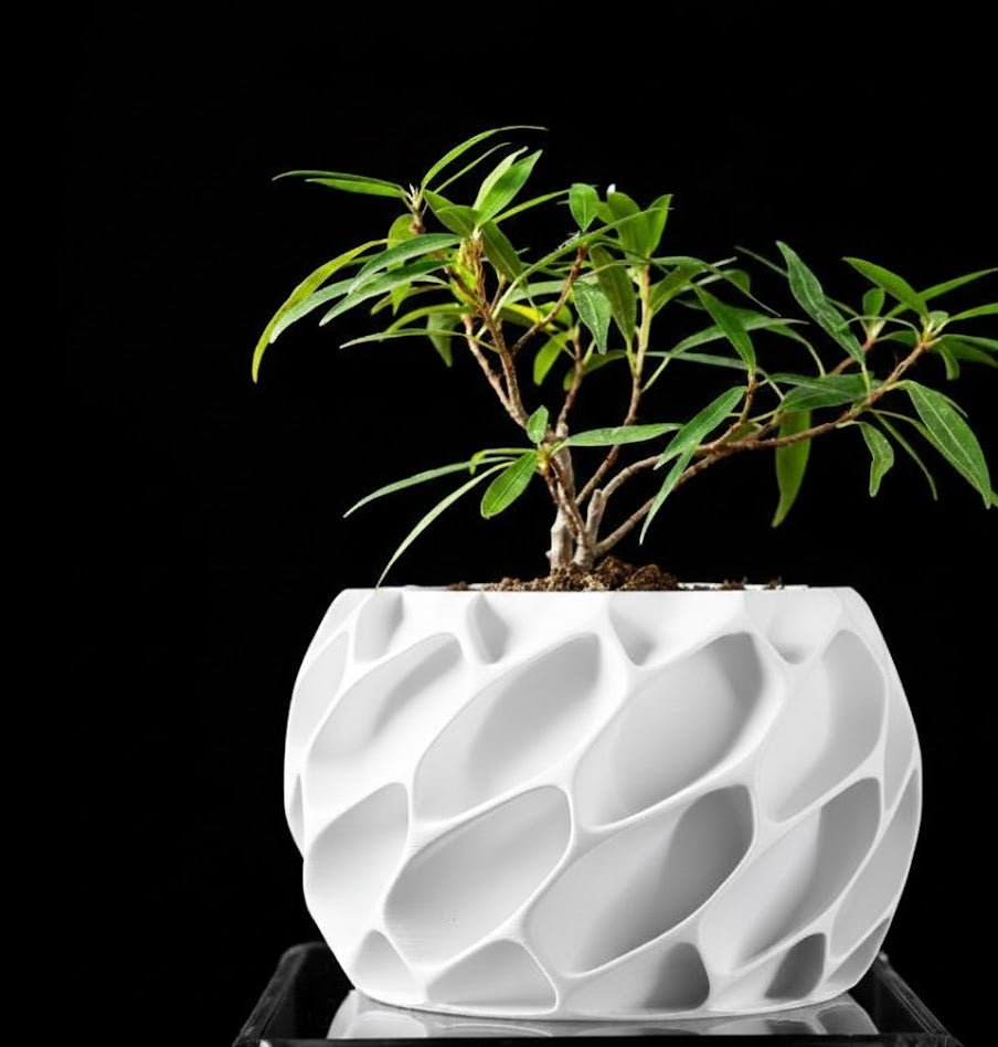 Exo Planter – Der organisch-dynamische 3D-Pflanztopf