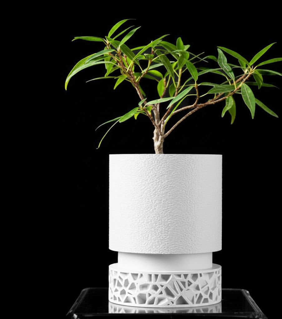 Vori 2.0 Pflanztopf – Urbaner Zylinder trifft filigranes 3D-Sockeldesign
