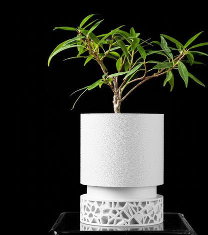 Vori 2.0 Pflanztopf – Urbaner Zylinder trifft filigranes 3D-Sockeldesign