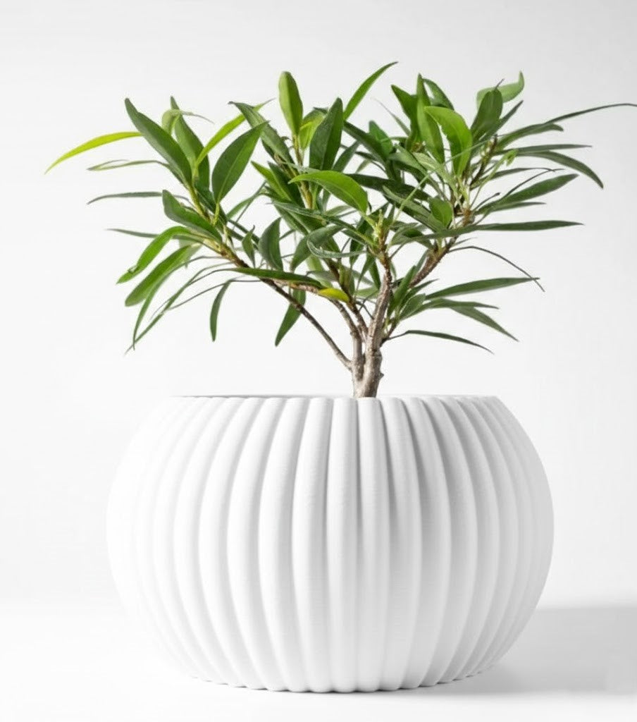 Der Roni – 3D-Pflanztopf mit harmonischer Rillenstruktur