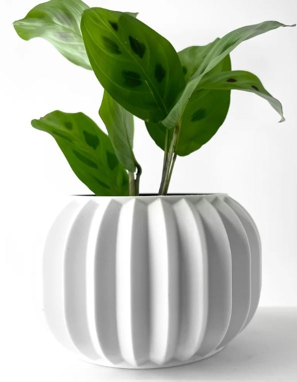 Olin 3D Pflanztopf – Minimalismus trifft auf geometrische Eleganz