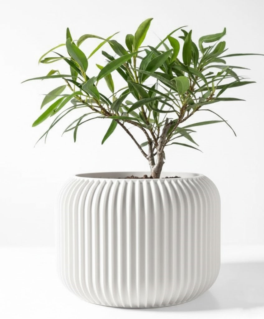 Der Unis – Zeitloser 3D-Pflanztopf mit rhythmischer Kontur