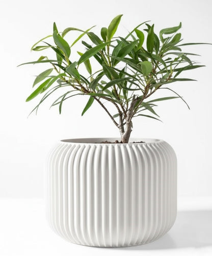 Der Unis – Zeitloser 3D-Pflanztopf mit rhythmischer Kontur